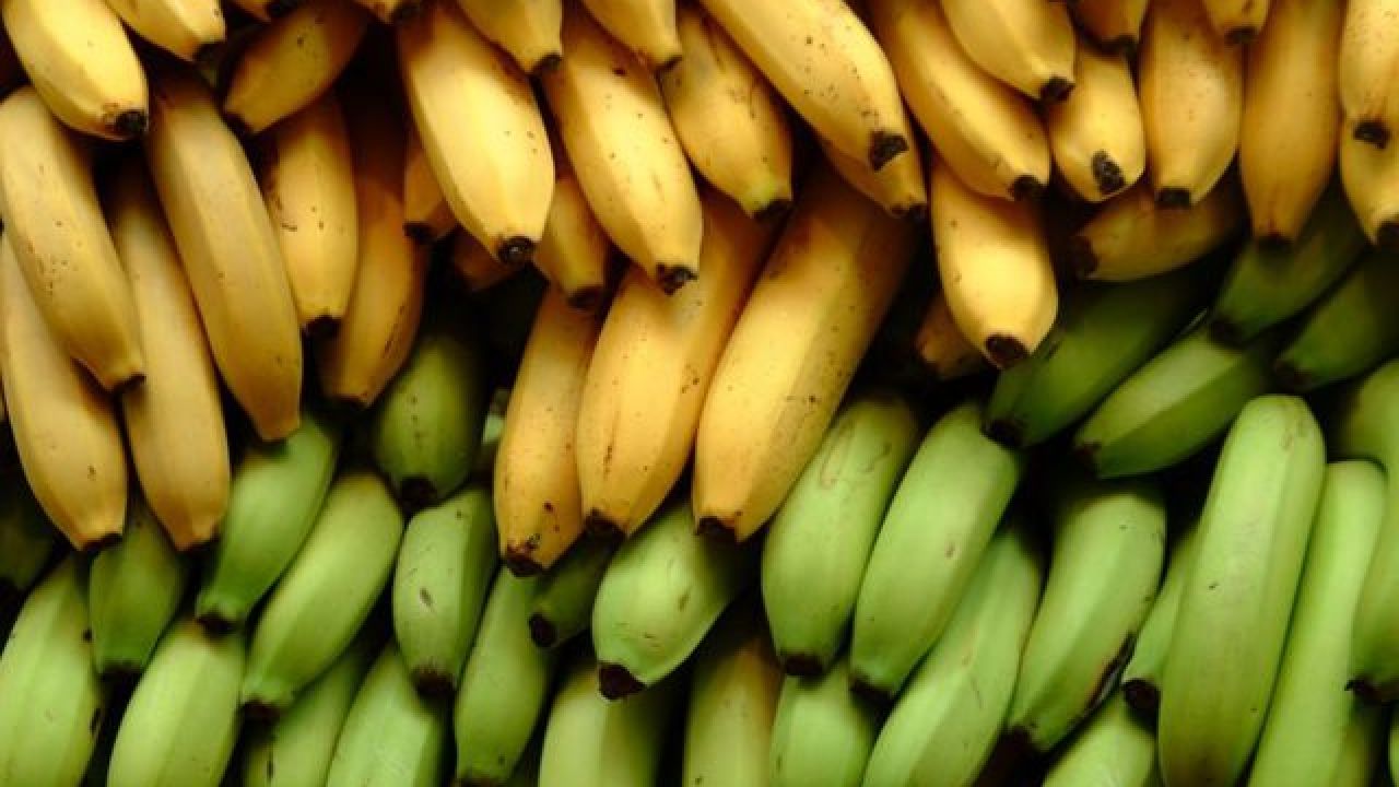 केळीचे आपल्या आरोग्यासाठी होणारे हे फायदे तुम्हाला माहीत आहेत का? 