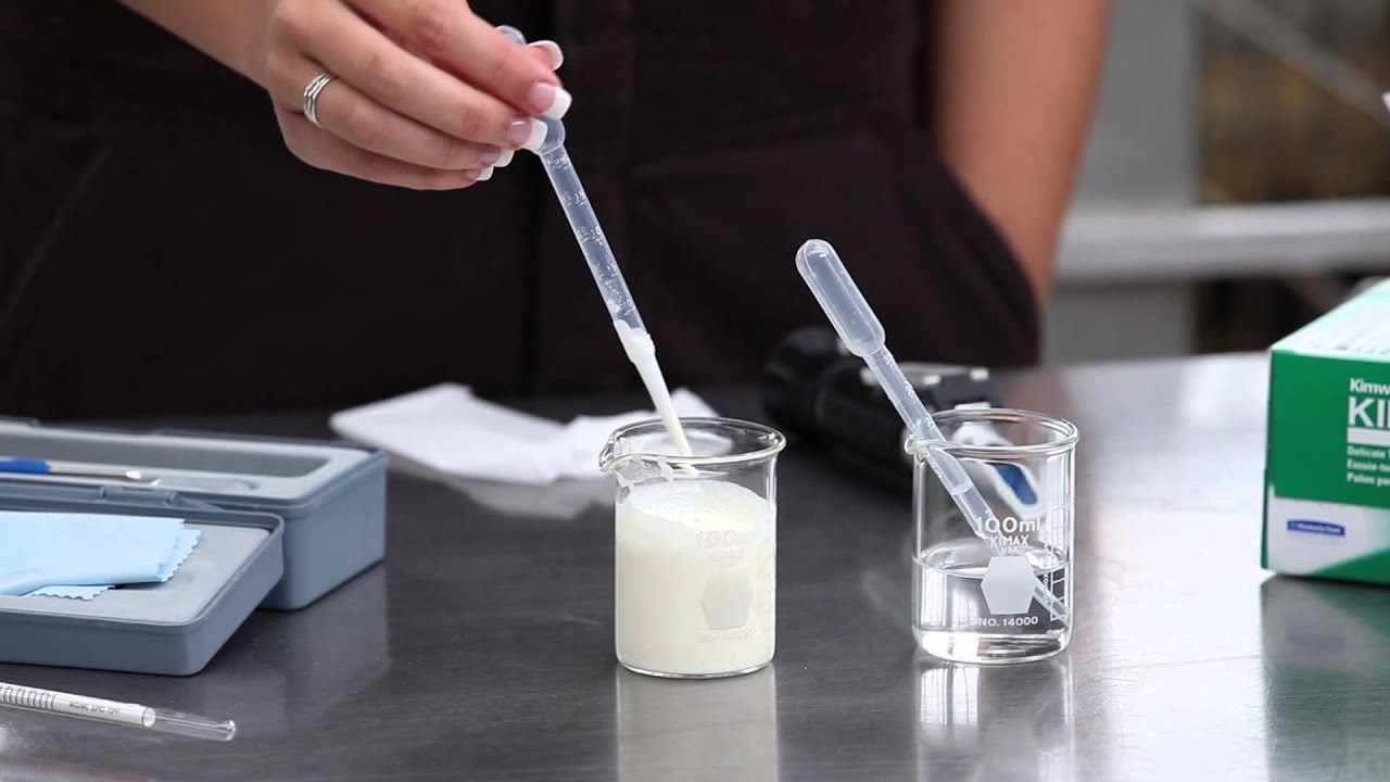 घरच्या घरी दुधातली भेसळ कशी ओळखावी How to test purity of milk marathi