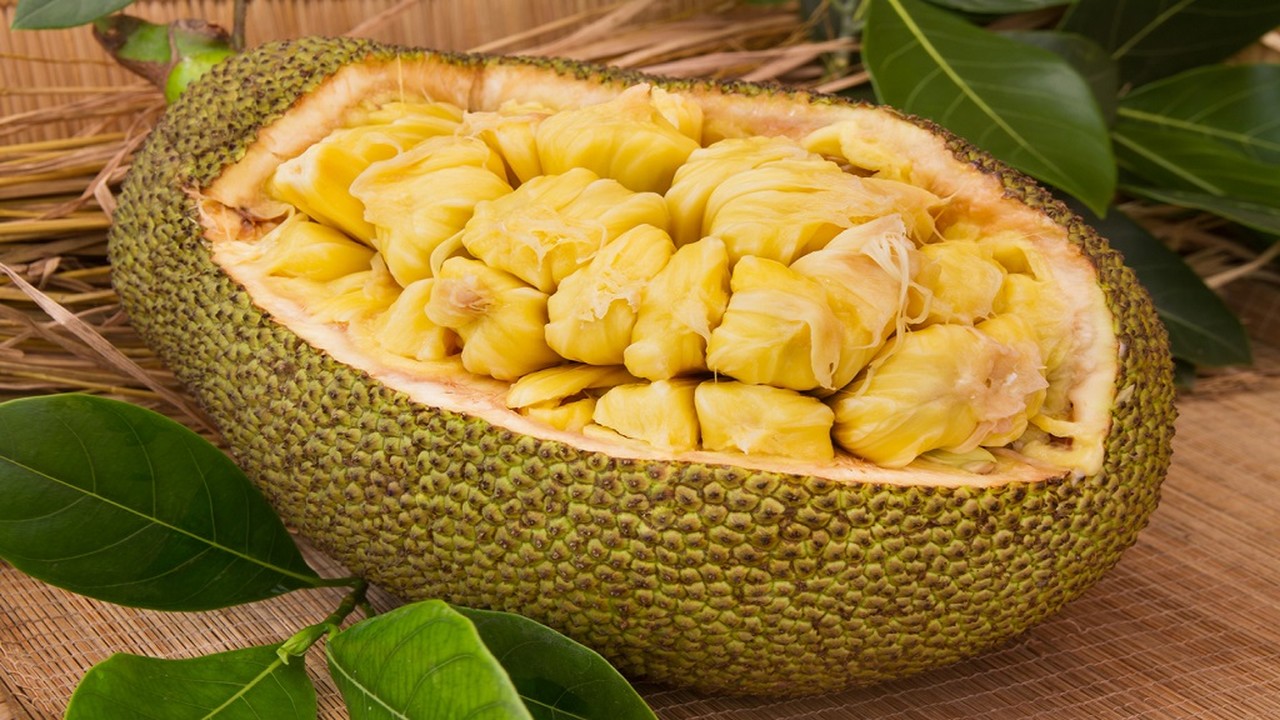 health benefits of jackfruit marathi